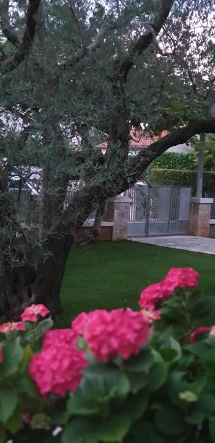Apartments Cocaletto5 Ρόβινι Εξωτερικό φωτογραφία